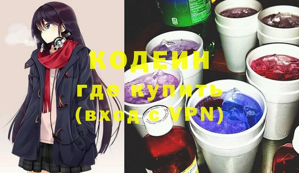 хмурый Алексин
