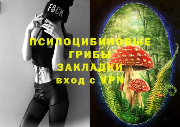 хмурый Алексин