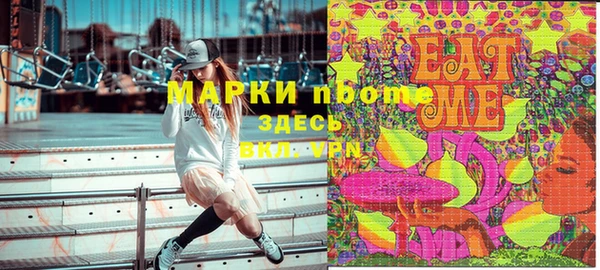хмурый Алексин