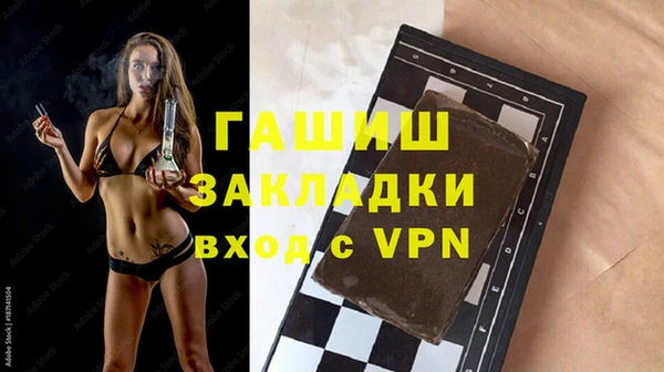 хмурый Алексин