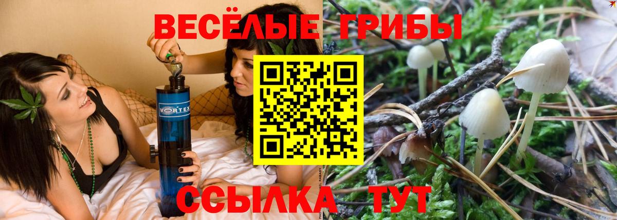 Галлюциногенные грибы мицелий Чусовой