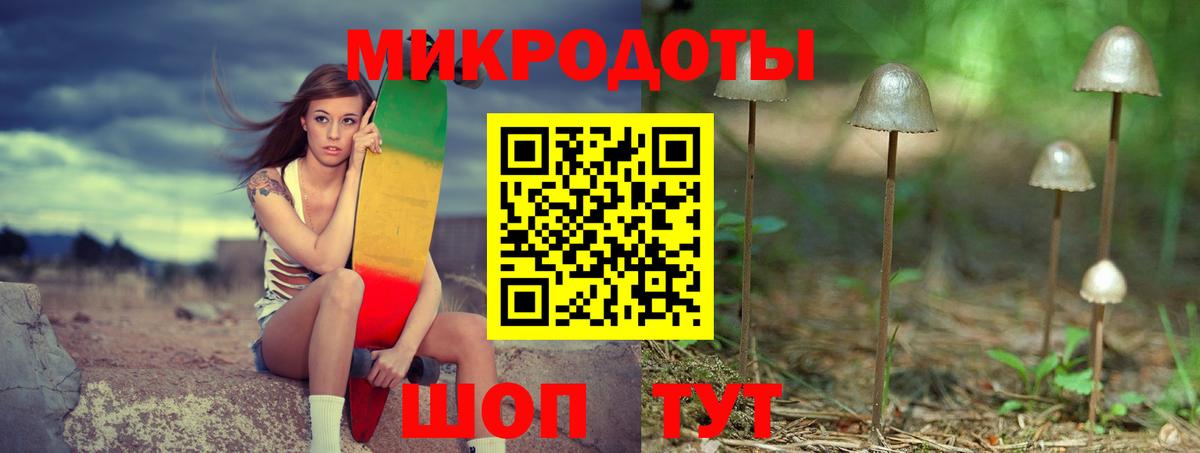 ГАШ Чусовой